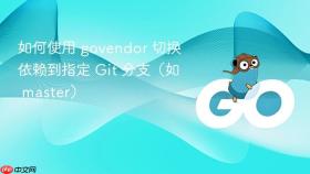 如何使用 govendor 切换依赖到指定 Git 分支（如 master）