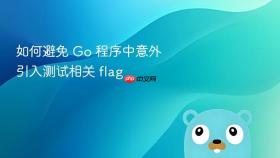 如何避免 Go 程序中意外引入测试相关 flag