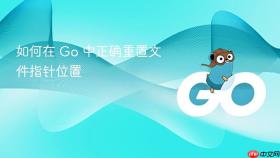 如何在 Go 中正确重置文件指针位置