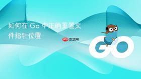 如何在 Go 中正确重置文件指针位置