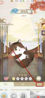 灵猫传升星攻略