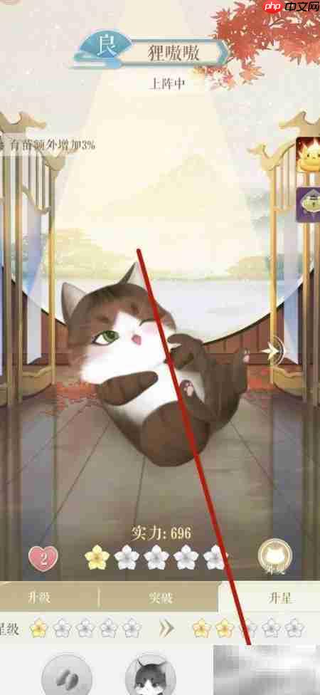 灵猫传升星攻略