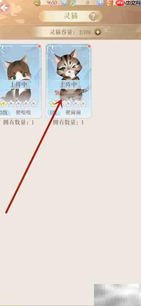 灵猫传升星攻略