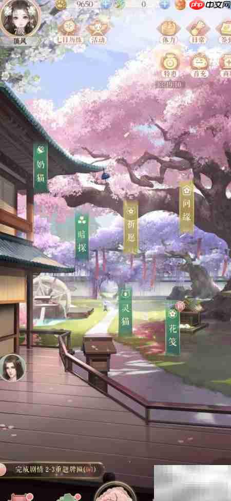 灵猫传升星攻略