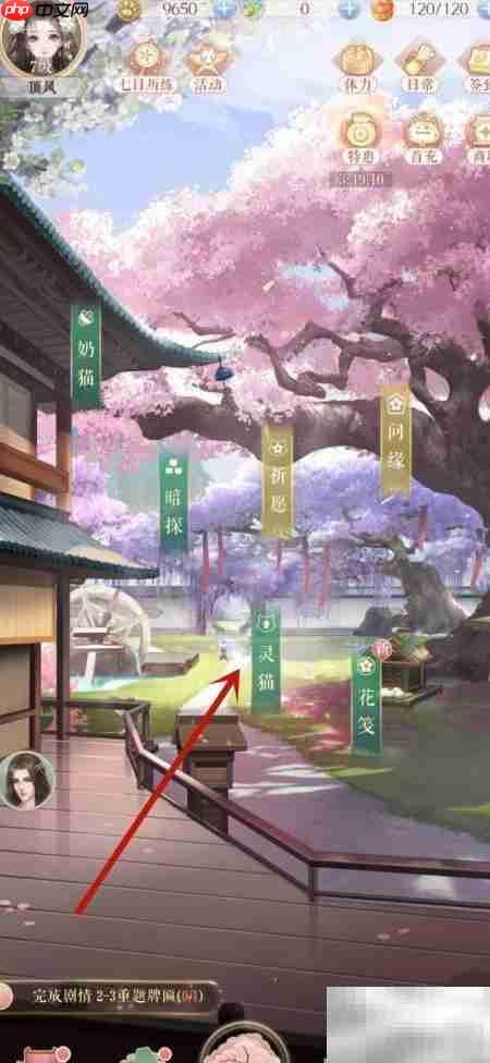 灵猫传升星攻略