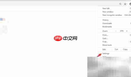 谷歌浏览器设置简体中文