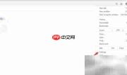 谷歌浏览器设置简体中文