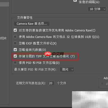 关闭TIFF存储分层提示