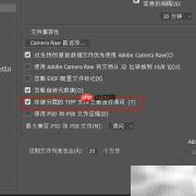 关闭TIFF存储分层提示