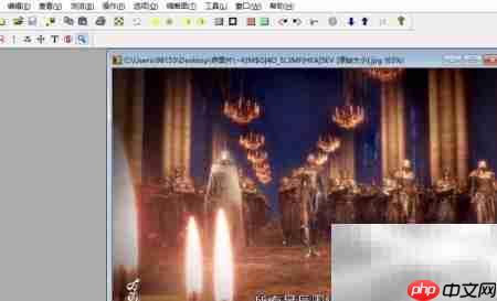 PolyView图片格式转换指南