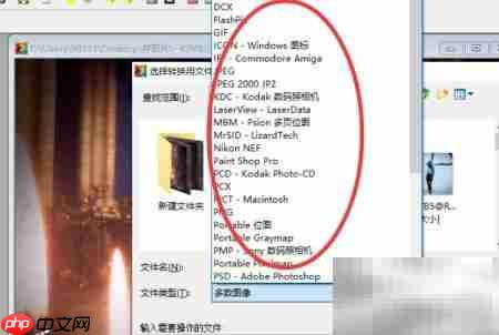 PolyView图片格式转换指南