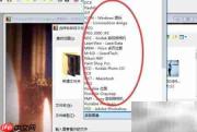 PolyView图片格式转换指南