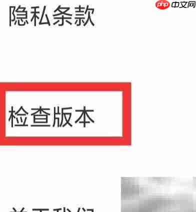 央视体育版本检测方法