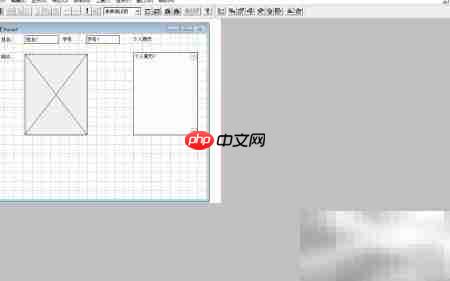 vf6.0表单控件颜色修饰