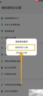 海阔视界小窗播放设置