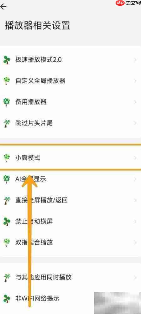 海阔视界小窗播放设置