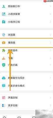 海阔视界小窗播放设置
