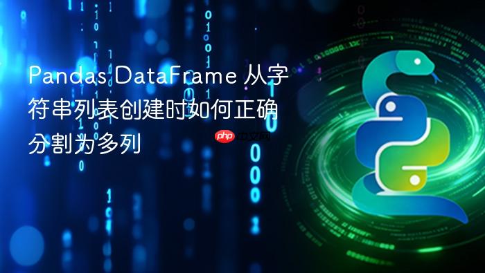 Pandas DataFrame 从字符串列表创建时如何正确分割为多列