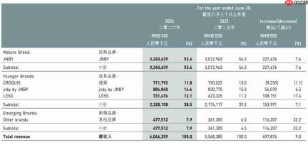 60亿之后,江南布衣向服装之外找增长