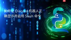如何让 Discord 机器人正确显示并启用 Slash 命令