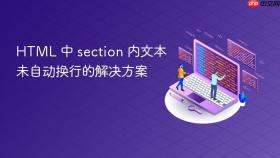 HTML 中 section 内文本未自动换行的解决方案