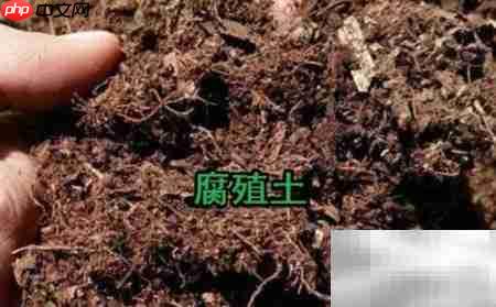 种大葫芦的秘诀