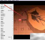 wed影音保存缩略图教程
