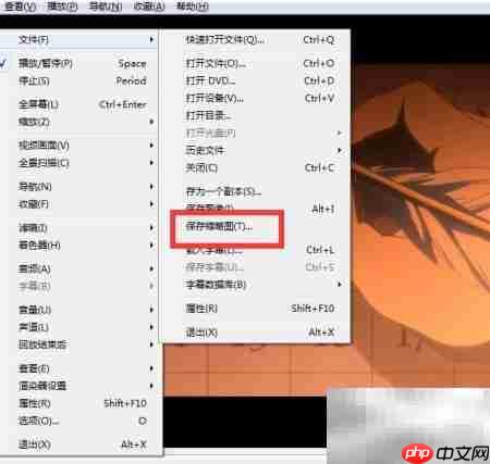 wed影音保存缩略图教程