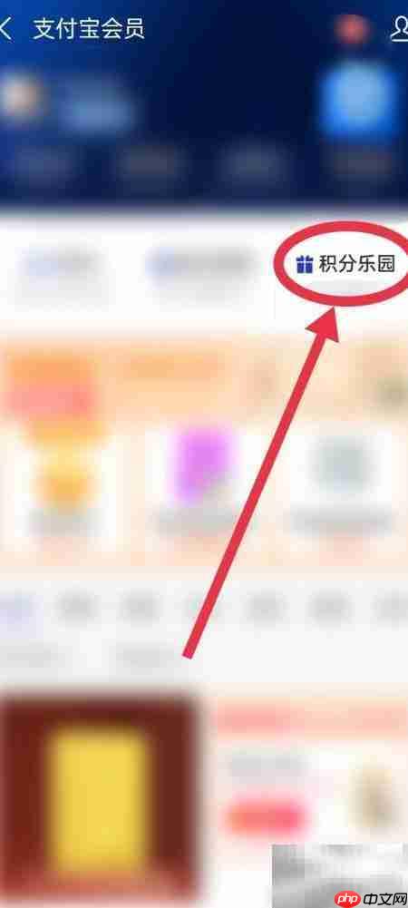 支付宝动物运动会入口在哪