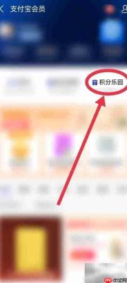 支付宝动物运动会入口在哪