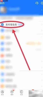 支付宝动物运动会入口在哪