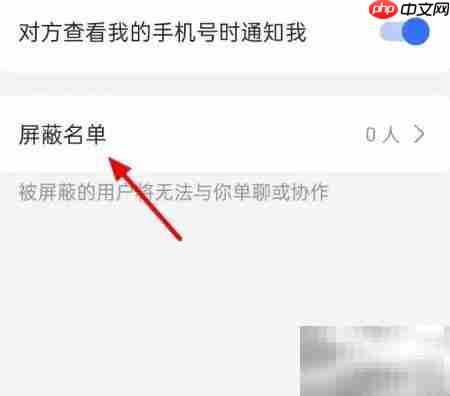 飞书黑名单查看指南
