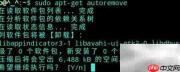deepin清理软件包方法