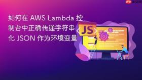 如何在 AWS Lambda 控制台中正确传递字符串化 JSON 作为环境变量