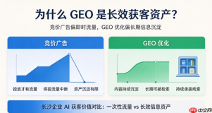 长沙GEO服务商业务体系：豆包排名优化与AI获客服务介绍