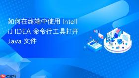 如何在终端中使用 IntelliJ IDEA 命令行工具打开 Java 文件