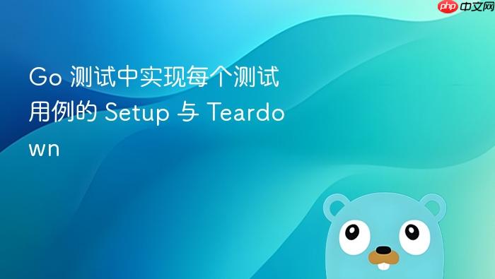 Go 测试中实现每个测试用例的 Setup 与 Teardown