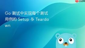 Go 测试中实现每个测试用例的 Setup 与 Teardown
