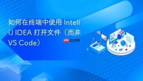 如何在终端中使用 IntelliJ IDEA 打开文件（而非 VS Code）
