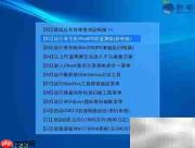 老毛桃装Win8教程