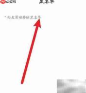 戏鲸软件黑名单查看方法