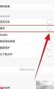 关闭Atom缓存的简单方法