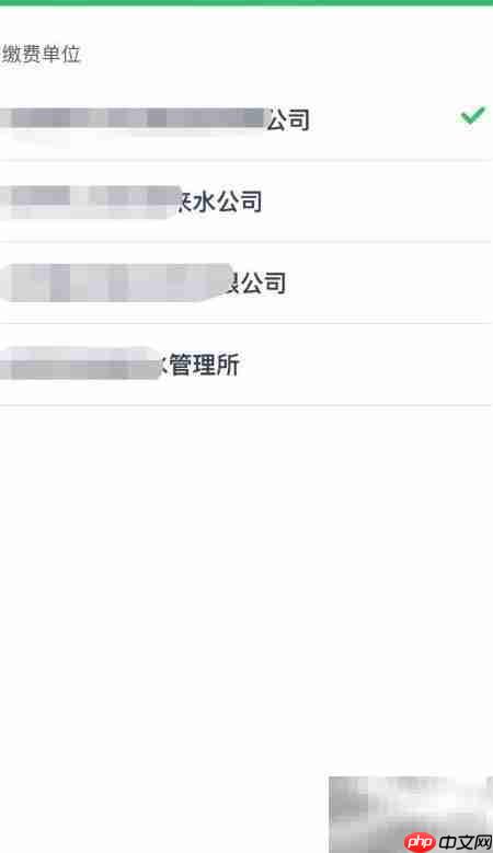 爱奇艺缴水费指南
