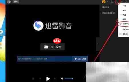 迅雷影音关闭智能字幕教程