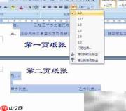 Word2007合同格式练习