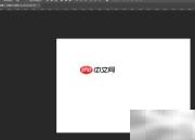 Photoshop绘制甸生桦图形教程