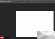 Photoshop绘制甸生桦图形教程
