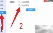 迅雷影音智能字幕设置技巧
