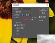 PS如何调整图片KB大小