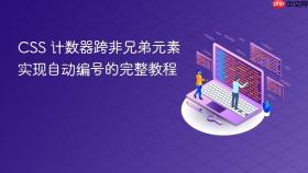 CSS 计数器跨非兄弟元素实现自动编号的完整教程